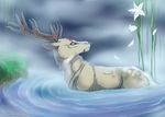  antlers cervine elk feral fur grass hauringu horn male mammal mist partially_submerged solo standing water white_eyes white_fur 
