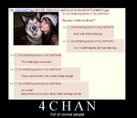 4chan canine creepy dog duckface edit fur human humor mammal meme multicolored_fur not_furry one_eye_closed screencap two_tone_fur wink 
