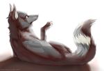  ambiguous_gender canine dog feral fur grey_fur hauringu mammal nude pale_eyes paws simple_background solo white_background 