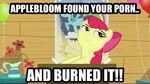  apple_bloom_(mlp) balloon burn cub equine flower friendship_is_magic humor mammal monkeybrony my_little_pony plant pornography poster vase young 