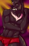  2016 abs abstract_background anthro biceps black_fur black_nose black_tail boxer_briefs bulge canine clothed clothing digital_media_(artwork) fangs fcsimba fluffy fluffy_tail fur grin half-length_portrait hi_res looking_at_viewer male mammal multicolored_fur muscular muscular_male navel pecs pinup portrait pose silver_fang solo standing teeth topless two_tone_fur underwear white_fur wolf yellow_eyes 