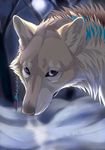  2014 ambiguous_gender canine dog feral fur hauringu mammal moon night outside purple_eyes solo tan_fur tan_nose wolf 