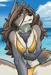  anthro beach bikini breasts canine chest_tuft clothed clothing domovoi_lazaroth ear_tuft female fur makwa mammal multicolored_fur seaside skimpy solo swimsuit tuft wolf yellow_eyes 