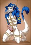  anthro bdsm bondage bound erection muzzle_(disambiguation) penis rope sergal silvergrin zetsin 