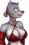  anthro big_breasts breasts canine clothed clothing female hair kraken_(artist) looking_at_viewer mammal sketch smile solo 