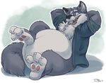  2016 3_toes anthro belly belly_expansion big_belly black_eyes black_fur black_nose bottomless canine chest_tuft claws clothed clothing digital_media_(artwork) ear_piercing eyebrows fluffy fluffy_tail fur grey_fur grey_tail hands_behind_head inflation inner_ear_fluff looking_at_viewer male mammal multicolored_fur open_mouth open_shirt overweight overweight_male piercing pink_tongue reclining shirt signature simple_background solo teaselbone teaselbone_(character) teeth toe_claws toes tongue tuft wolf 