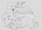  2016 animal_genitalia animal_penis avian balls beak bear black_and_white blush claws digital_drawing_(artwork) digital_media_(artwork) erection feathered_wings feathers female female_on_top feral feral_on_feral front_view fur gryphon hi_res interspecies larger_male looking_back male male/female male_penetrating mammal monochrome on_top one_eye_closed pawpads paws penetration penis polar_bear pussy sex size_difference sketch ursine_penis vaginal vaginal_penetration vent wings yaroul 