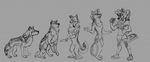  anthro camp canine clothing female feral feral_to_anthro hair kabuki_homewood mammal sequence simple_background smile transformation wolf 