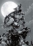  alpha beta better_version_at_source claws cloud fangs full_moon fur hair howl ledge looking_up monochrome moon mountain muscular night open_mouth outside rock star stone teeth unknown_artist 