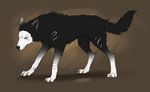  2014 ambiguous_gender black_fur black_nose brown_background canine dog feral fur hauringu mammal nude paws scar simple_background solo standing white_eyes 