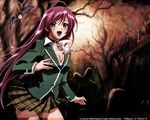  akashiya_moka bat long_hair pink_hair rosario+vampire signed 