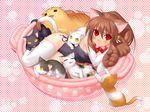  animal_ears cat cat_ears doruji elbow_gloves gloves highres kittysuit lennon little_busters! natsume_rin solo tail thighhighs zen 