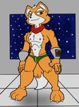  2016 anthro canine clothed clothing fox fox_mccloud fur green_eyes how-did-we-get-here male mammal mostly_nude nintendo orange_fur scarf solo solo_focus star star_fox underwear video_games white_fur window 