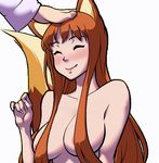  animated blush bouncing_breasts breasts female happy horo kenshin187 petting solo_focus spice_and_wolf tailwag 