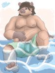  2019 anthro beach capybara caviid clothing greenbeanyeen humanoid_hands male mammal moobs nipples overweight overweight_male rodent seaside sitting solo swimsuit water 