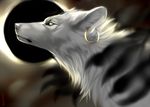  2016 ambiguous_gender black_lips blue_eyes canine ear_piercing feral fur hauringu mammal piercing solo white_fur white_nose wolf 