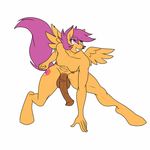  animal_genitalia animal_penis anthro balls breasts butt crouching cutie_mark equine feathered_wings feathers female friendship_is_magic fur hair horse intersex lurkingtyger mammal my_little_pony nipples nude penis pony purple_hair scootaloo_(mlp) smile solo spread_wings teeth thick_thighs wings 