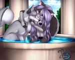  almos-tiroshi anthro bathtub breasts canine censored duo female feral fur hair mammal nude 