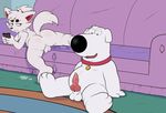  after_sex animal_genitalia animal_penis anthro balls brian_griffin canine canine_penis cum dog duo eroborus family_guy kitsune_(ero) knot male male/male mammal penis sofa 