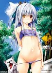  bikini bikini_pull blue_hair blush cloud day dog heterochromia kai_yuuki long_hair original outdoors sky solo swimsuit 