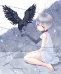  barefoot bird collar elbow_gloves gloves looking_at_viewer original red_eyes short_hair silver_hair single_elbow_glove solo yamaishi_nohi 