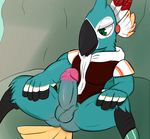  2016 anthro avian balls beak bird black_feathers bottomless butt clothed clothing digital_media_(artwork) erection feathers humanoid humanoid_penis kass male nintendo not_safe_for_reality open_mouth penis simple_background smile solo the_legend_of_zelda video_games 