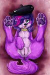  4_toes abstract_background anus canine claws collar digitigrade dimwitdog dog female feral foot_focus fur hair hair_over_eye hat hindpaw littlest_pet_shop looking_at_viewer lying mammal nude on_back open_mouth pawpads paws purple_fur pussy simple_background smile soles solo spread_legs spreading toes zoe_trent 