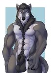  2016 animal_genitalia anthro ardex_(ardex) balls black_balls black_fur black_hair black_nose black_penis blue_background body_hair border canine claws digital_media_(artwork) eyebrows fluffy fluffy_tail front_view fur grey_fur grey_tail hair happy_trail looking_at_viewer male mammal multicolored_fur nude outside_border penis penis_tip portrait sheath signature simple_background solaxe_(artist) solo standing three-quarter_portrait white_border white_eyes wolf 