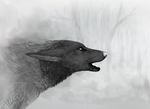  black_lips canine feral fur grey_fur greyscale mammal monochrome open_mouth solo white_eyes white_nose wolf wolnir 