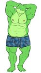  amphibian barefoot boxer_briefs bulge camo clothing flat_colors front_view low-riding male musclegut muscular navel nintendo one_eye_closed pecs penis penis_outline penis_through_leghole pinup plantigrade poking_out pose raised_arm sketch slippy_toad solo standing star_fox tight_clothing toad underwear video_games wink wkd 