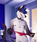  anthro canine clothed clothing collar fur hair inside looking_at_viewer male mammal solo spiked_collar spikes standing teaksamin underwear 