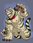  anthro balls feline male mammal penis solo tiger wfa white_tiger 