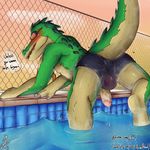  2016 anthro asbel_lhant balls blush butt claws clothing english_text eyewear fence goggles league_of_legends looking_at_back male open_mouth orange_eyes penis pool_(disambiguation) presenting presenting_hindquarters renekton reptile riot_games scalie solo speedo spikes swimsuit teeth text tongue uncut video_games water wet 