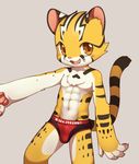  4_fingers anthro athletic blush briefs brown_eyes bulge chest_tuft clothing cub cute_fangs feline looking_at_viewer low-riding male mammal open_mouth pinup pose raier smile solo standing tuft underwear unrealplace young 
