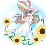  animal_ears brown_hair bunny_ears bunny_girl collarbone dress ears_through_headwear flower hat highres iesupa long_hair rwby solo sun_hat sundress sunflower velvet_scarlatina white_dress 