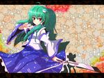  detached_sleeves frog green_hair hair_ornament highres kochiya_sanae long_hair red_eyes snake solo tori_rui touhou 