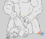  anthro anthro_on_anthro banging barazoku bear belly big_dom_small_sub bottomless clothed clothing clothing_pull duo hoodie male male/male mammal musclegut muscular nipples sharpiesabre size_difference size_play slap smol 