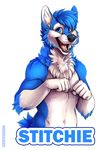  2016 5_fingers anthro black_lips black_nose blue_eyes blue_fur blue_hair canine cheek_tuft digital_media_(artwork) elbow_tufts fangs front_view fur hair half-length_portrait hi_res inner_ear_fluff lips looking_at_viewer male mammal multicolored_fur name_badge navel neck_tuft nude open_mouth pink_tongue portrait signature simple_background smile solo stitchie tazara teeth tongue tuft two_tone_fur white_background white_fur wolf 