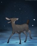  2016 autumndeer bush cervine deer detailed_background female green_eyes hooves mammal night pink_nose snow snowing solo spots standing tree walking 