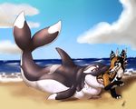  2016 ambiguous_gender antlers beach belly big_belly black_fur black_skin blue_eyes brown_fur canine cervine cetacean cloud drooling duo english_text feral fur horn hybrid mammal marine neck_bulge nude oral_vore orca outside red_eyes saliva sea seaside shikaro signature size_difference sky soft_vore teeth text vore water whale white_fur white_skin 