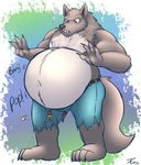  2016 4_fingers 4_toes anthro belly belly_expansion belt big_belly biped black_eyes black_nose blue_bottomwear blue_clothing canine claws clothed clothing countershading denim_shorts digital_media_(artwork) fangs fluffy fluffy_tail front_view full-length_portrait fur gradient_background grey_fur grey_tail growth hi_res inflation looking_down male mammal multicolored_fur navel onomatopoeia plantigrade portrait raised_eyebrow shorts signature simple_background solo sound_effects standing tanio toe_claws toes topless torn_clothing two_tone_fur tylo were werewolf white_countershading white_fur 