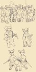  anthro canine clothed clothing female fox holding_object holding_weapon in_the_new_age line_art lineup male mammal monochrome raccoon rick_griffin weapon wolf 