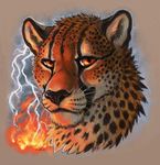  2016 amara_telgemeier cheetah feline fire lightning mammal orange_eyes solo 
