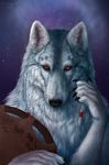  2014 5_fingers anthro black_nose braided_hair canine hair looking_at_viewer male mammal purple_background red_eyes simple_background solo wolf wolnir 
