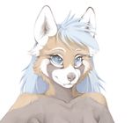  2016 big_eyes blue_eyes clothed clothing female foxmode mammal red_panda solo topless 