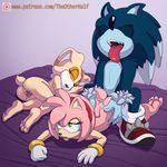 2016 all_fours amy_rose anthro anus breasts butt cream_the_rabbit doggystyle female from_behind_position group hedgehog lagomorph male mammal nude penetration pussy rabbit sex sonic_(series) sonic_the_werehog the_other_half werehog 