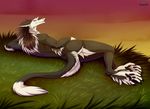  2016 anthro black_fur black_hair blue_eyes butt claws fur grass grey_fur hair looking_at_viewer looking_back lying male nude on_side outside re-re rear_view sergal sky smile solo toe_claws white_fur white_hair 