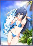  artist_request beach bikini blue_bikini blue_eyes blue_hair breasts cleavage collarbone day eyebrows_visible_through_hair hand_in_hair imca innertube long_hair looking_at_viewer lowres outdoors palm_tree senjou_no_valkyria senjou_no_valkyria_3 side-tie_bikini sideboob small_breasts solo swimsuit tree 