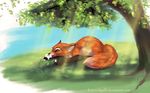  canine detailed_background female feral flower fox fur grass kotenokgaff lying mammal nature plant sunlight tree 