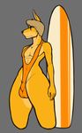  anthro bloopa clothing digital_media_(artwork) fur surfboard swimsuit 